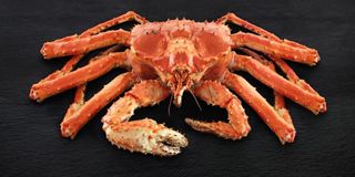 Kamchatka Crab