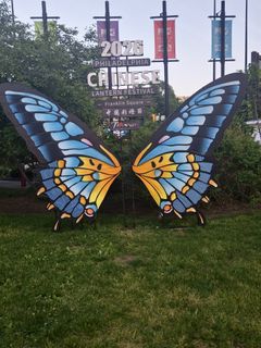Butterfly Ass Tattoo