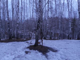 moving to Saint Petersburg.