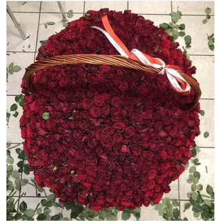 1001 rose
