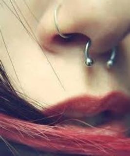 Septum