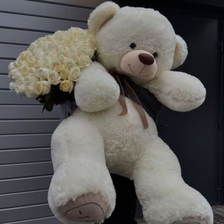 Teddy