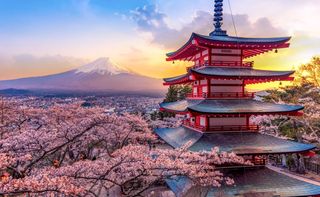 Go to Japan for 2 weeks