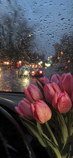 I love to travel)