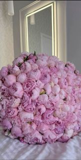 Pink peonies are like cute flowers)?