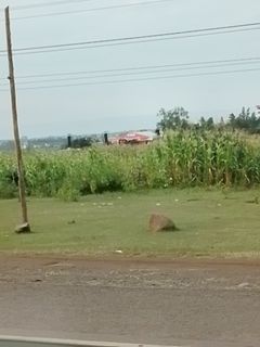 Buy a land