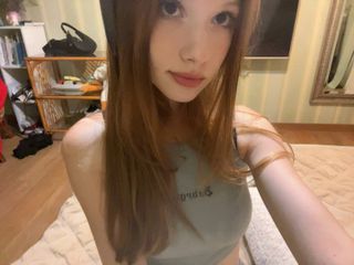 lovense toy