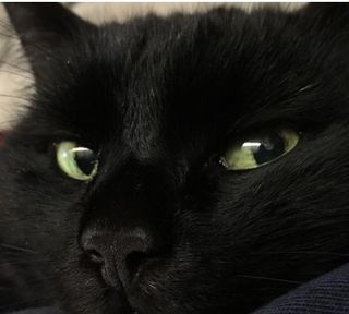 AmmyWilley wish list item 1 thumbnail