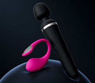 New lovense toys
