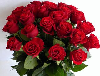 Bouquet of roses