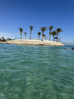 I want to go to the sea