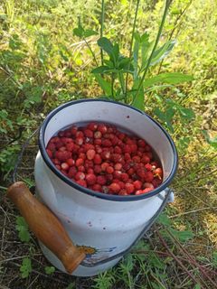 I'm collecting for Lovens