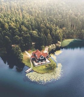 Мечтаю о большом доме в лесу не далеко от города и завести 2 больших собак.