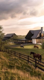 Dream Home: Art, Books, and Horses