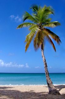 порадовать меня