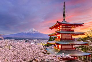My dream holiday to Japan