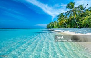 MY DREAMY DESTINATION WISH