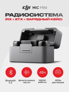 Mic Mini Radio System (RX + 2TX + Case)