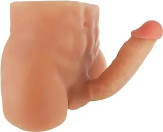 Torso