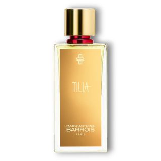 Tilia Marc-Antoine Barrois