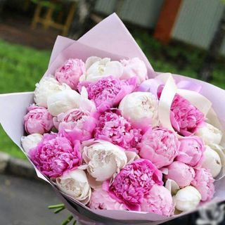 Flowers)