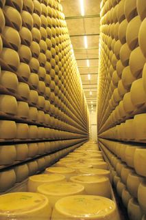 Start your own natural cheese production plant.