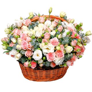 Bouquet of Flowers