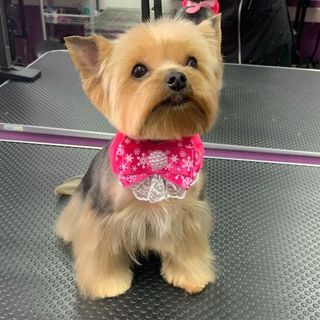 New Year's gift ❤️