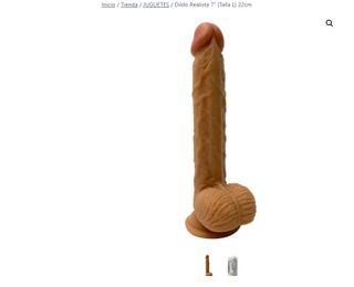 INTERACTIVE TOYS