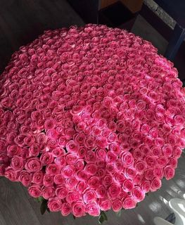 1001 roses