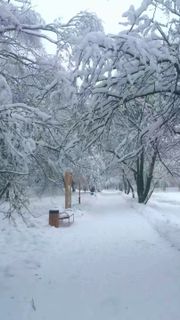 Maybe a trip to Russia