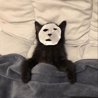 Rest
