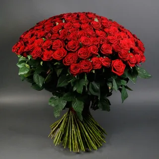 101 roses