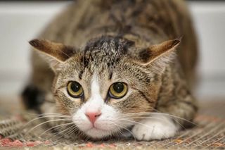 Start filming in the studio