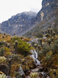 TRAVELING TO THE PÁRAMOS