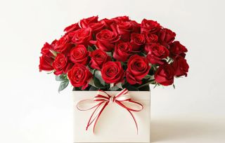 Mistress_Victoria wish list item 1 thumbnail