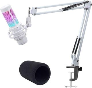 ?️ Microphone?