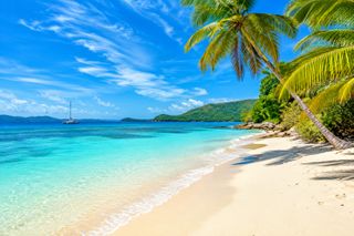 I want to have an amazing trip to the beach with my family.