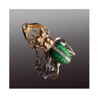 Silver ring deer beetle