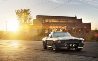 Mustang