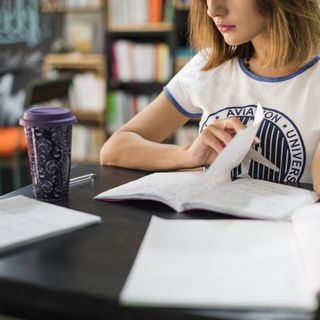 Studying at the university