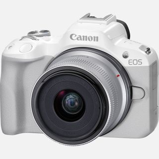 Un Canon, des secrets