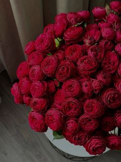 Lots of flowers