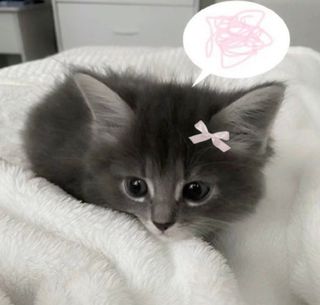 I dream of having vision correction