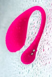 Lovense Lush 3