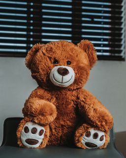 teddy bear