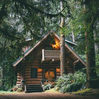 House in the forest