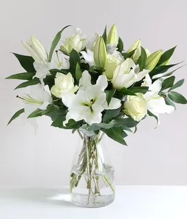 Lilies