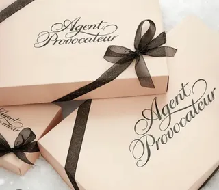 Agent Provocateur