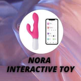nora interactive toy